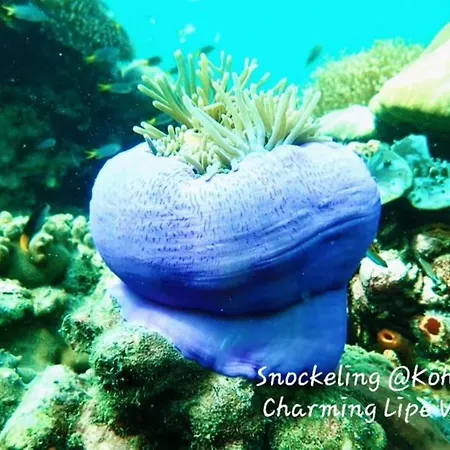 Charming Lipe Beach Resort-3